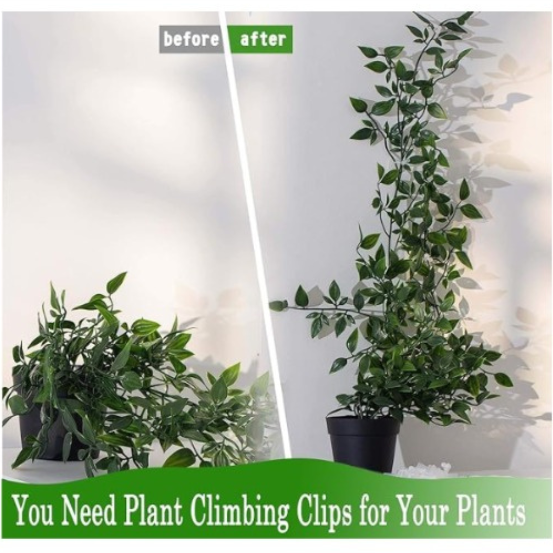 Climbing Plant Clips (60 pieces)